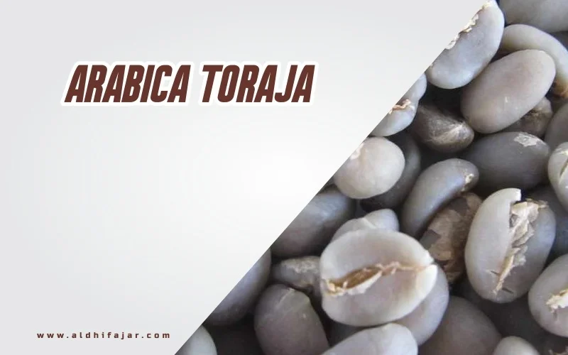 Kopi Terbaik Arabika Toraja