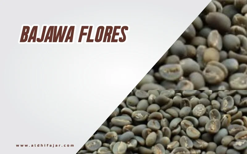 Kopi Bajawa FLores Komoditas Terkenal 