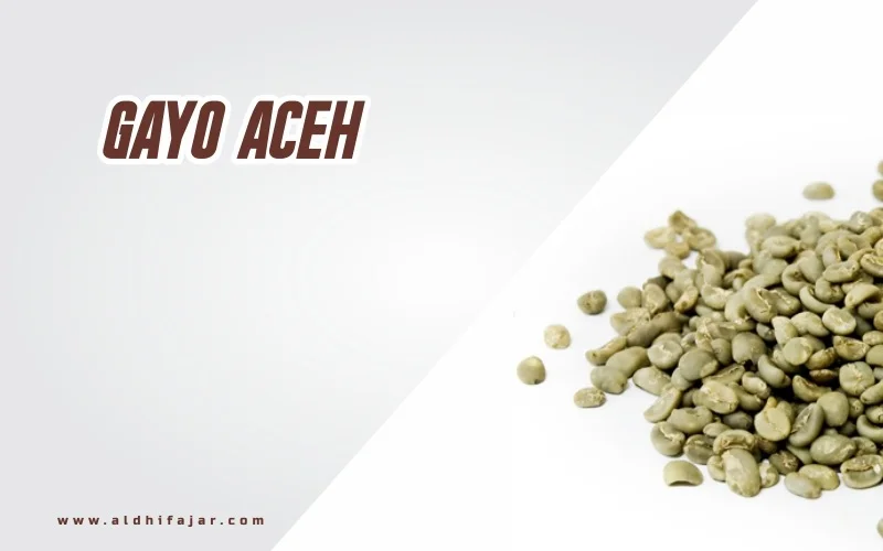 Kopi Gayo Aceh Terbaik di Indonesia