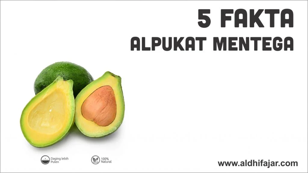 Alpukat Mentega