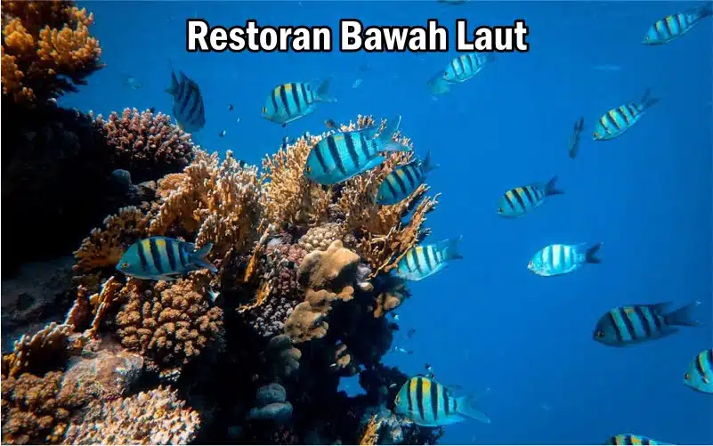 Restoran bawah laut
