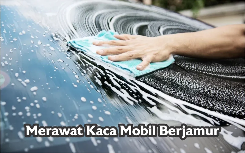 Mengatasi jamur pada kaca mobil