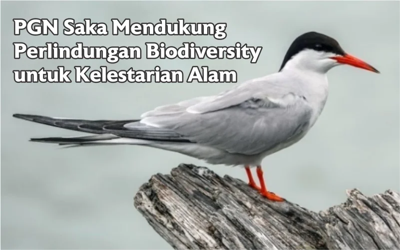 PGN Saka mendukung perlindungan biodiversity