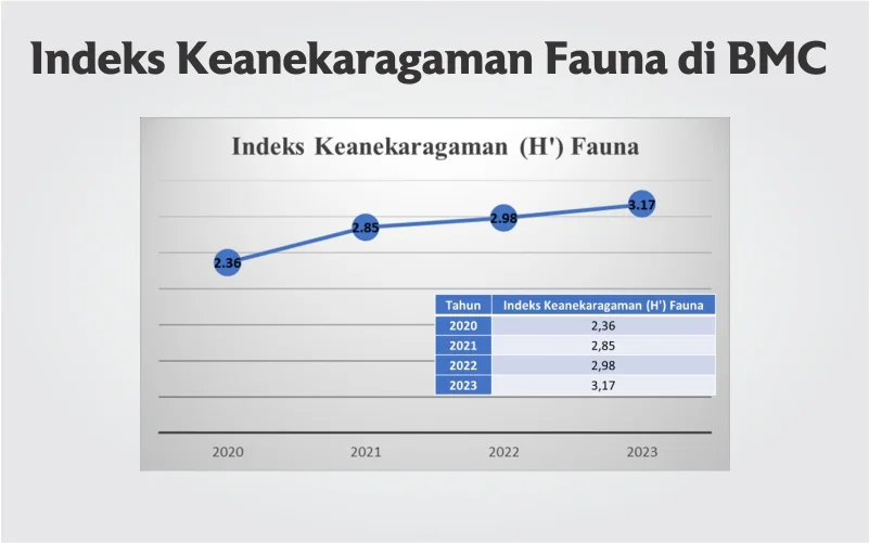 indeks keanekaragaman fauna di BMC