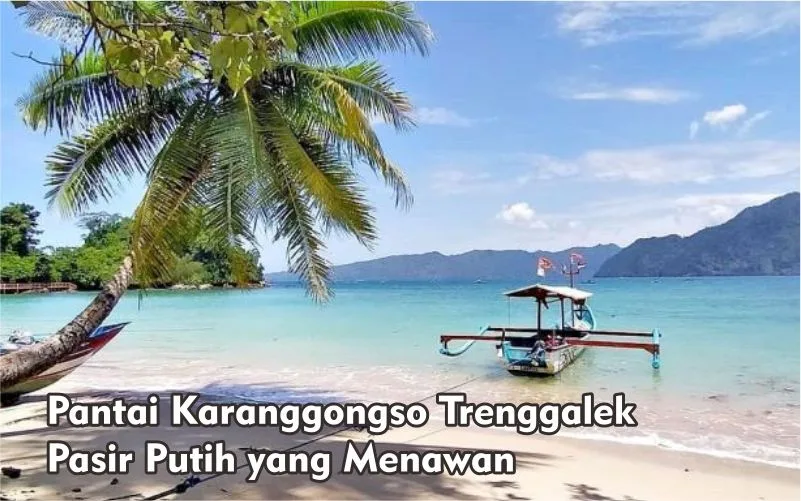 Pantai Karanggongso Trenggalek